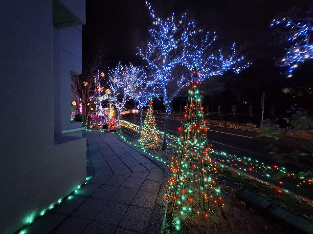 12月4日 川津公民館イルミネーション2025 点灯