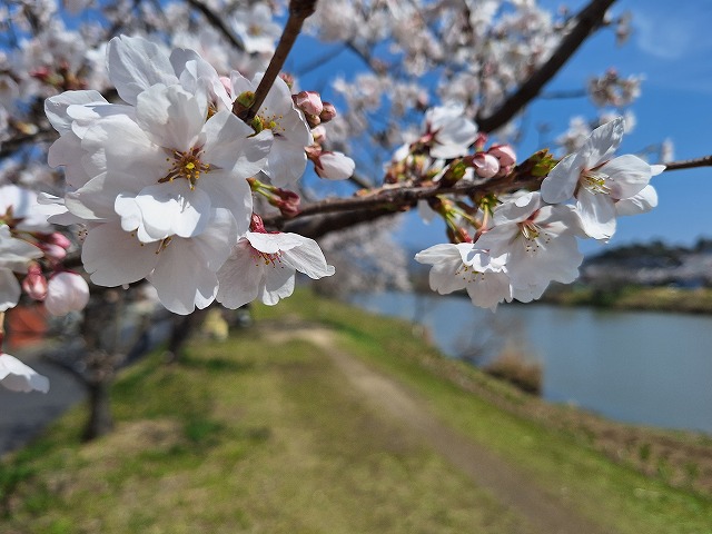 20260403_105905.jpg 20260403_105905.jpg