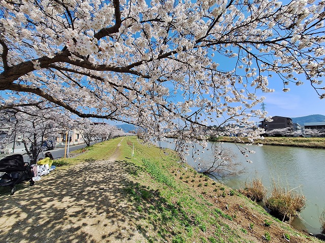 20260403_105930.jpg 20260403_105930.jpg