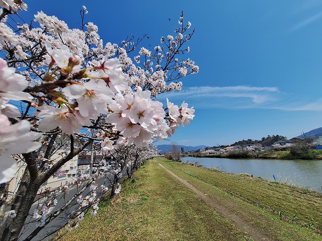 20260403_110142.jpg 20260403_110142.jpg