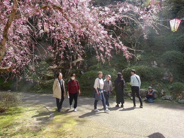 DSC03492.jpg DSC03492.jpg