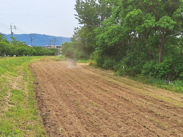 20260616_113513.jpg 20260616_113513.jpg