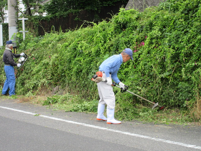 IMG_2495.JPG