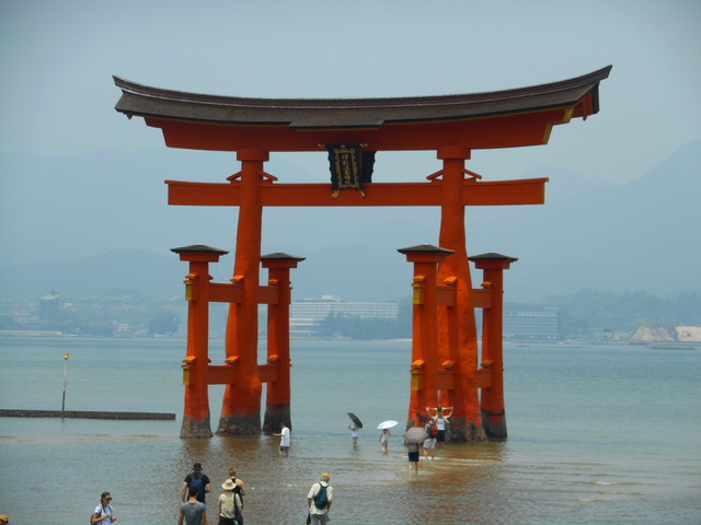 DSCN8390.JPG