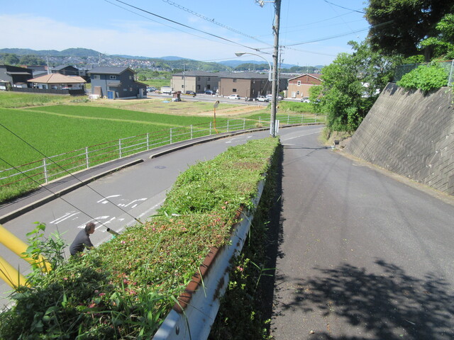 IMG_5274.JPG
