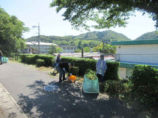 IMG_5282.JPG
