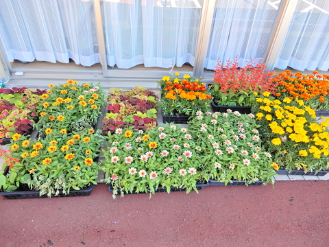 DSCN2474.JPG