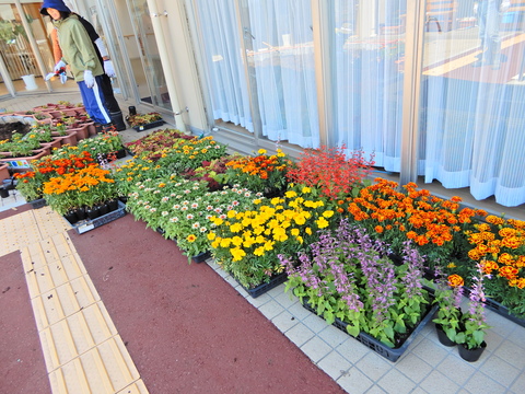 DSCN2478.JPG
