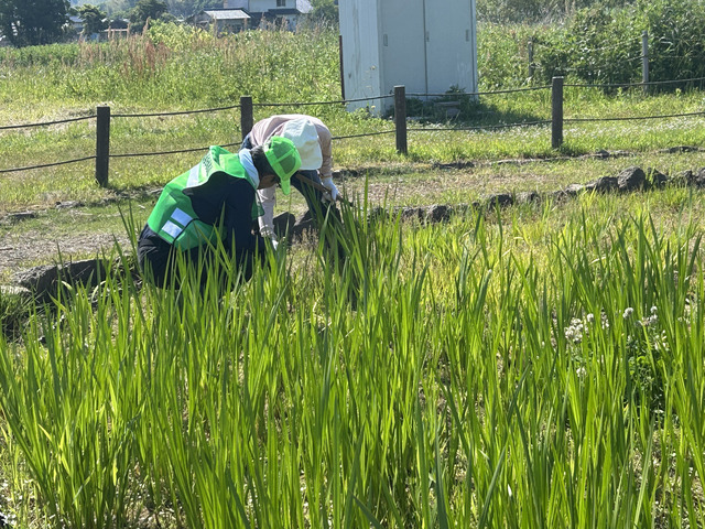IMG_8753.jpg