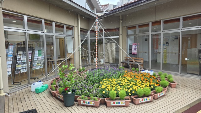 20260625_130909.jpg