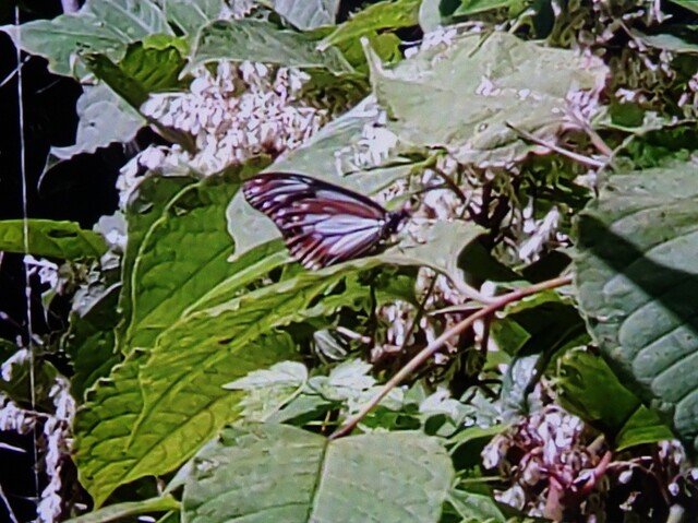 1035.jpg