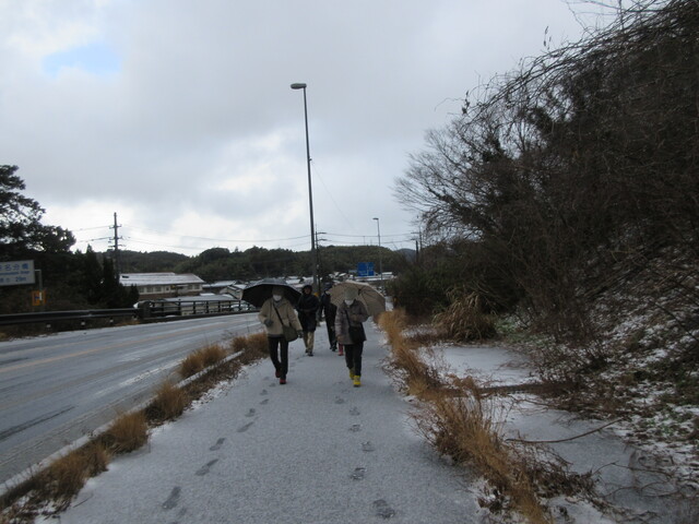 IMG_5333.JPG