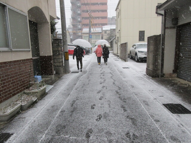 IMG_5510.JPG
