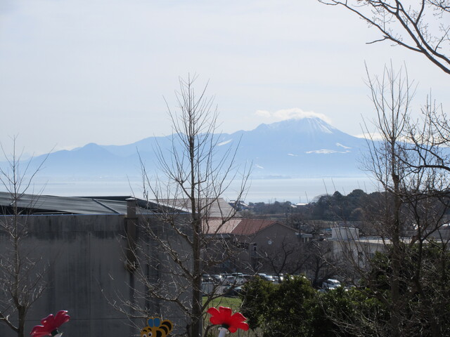 IMG_5558.JPG