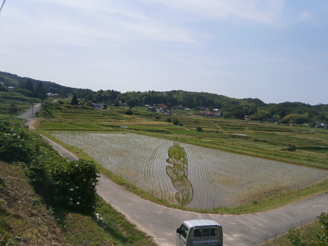 田んぼアート