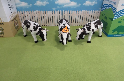 IMG_4699.jpg IMG_4699.jpg