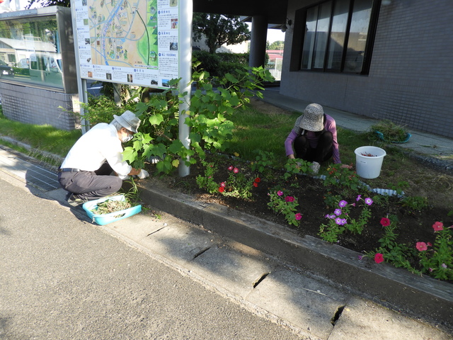 DSCN7674.JPG