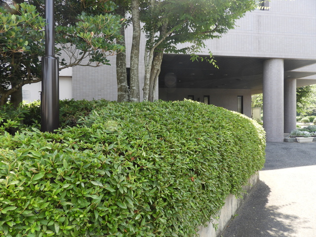 DSCN7683.JPG