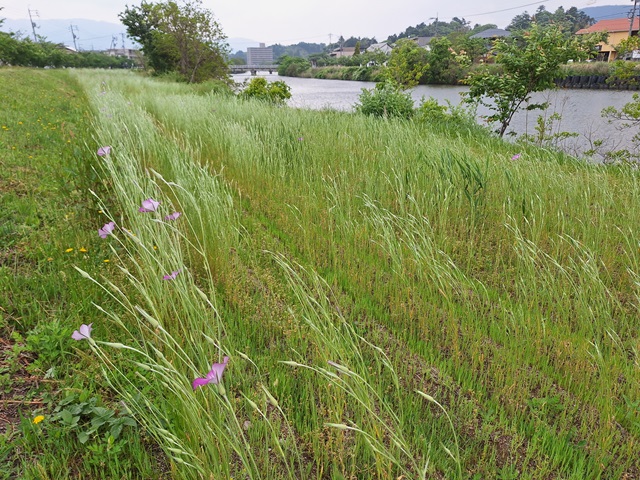 20240507_100655.jpg
