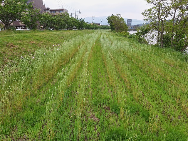20240507_100708.jpg