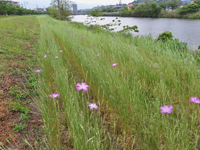 20240507_100835.jpg