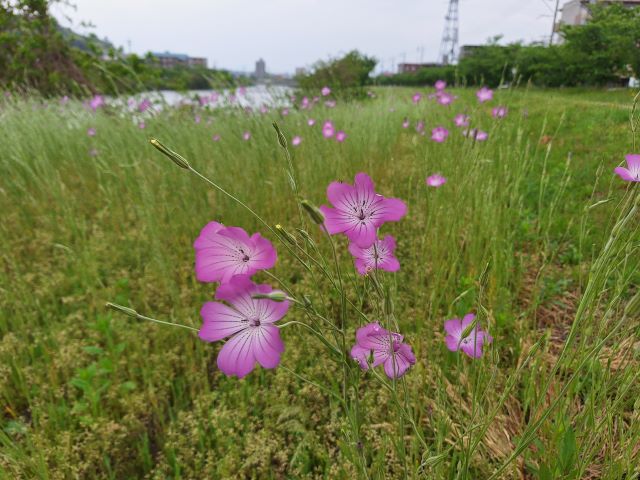 20240507_101041.jpg
