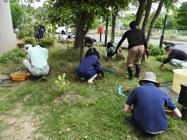 DSCN5582.JPG
