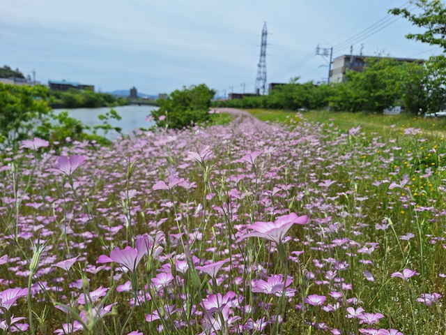 20240522_111823.jpg