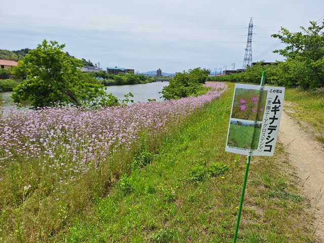 20240522_111846.jpg