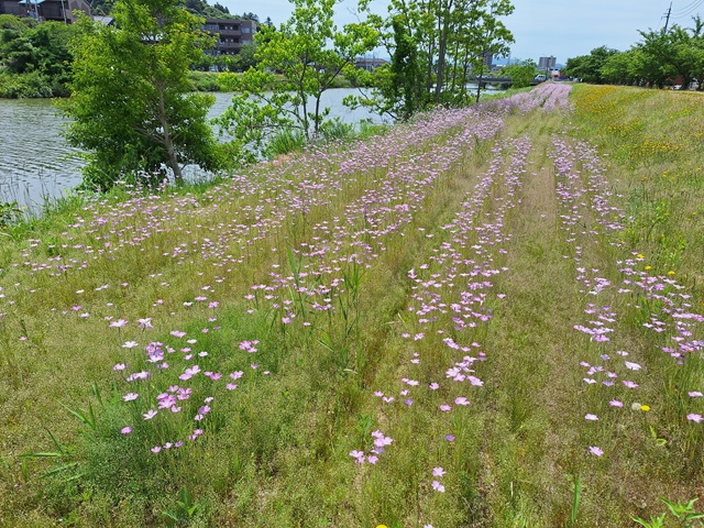 20240522_112111.jpg