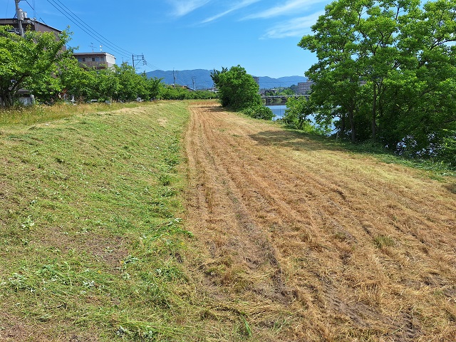 20240615_094935.jpg