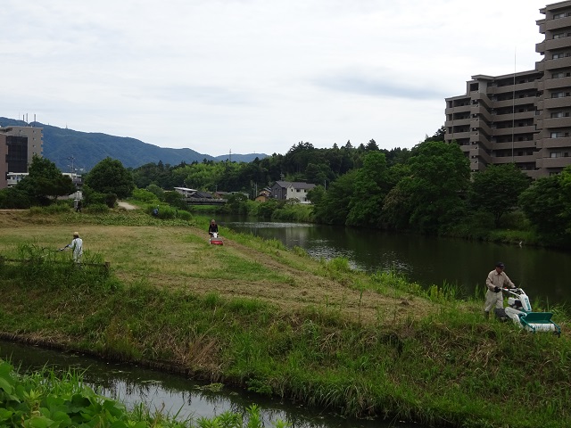 DSC09753.JPG