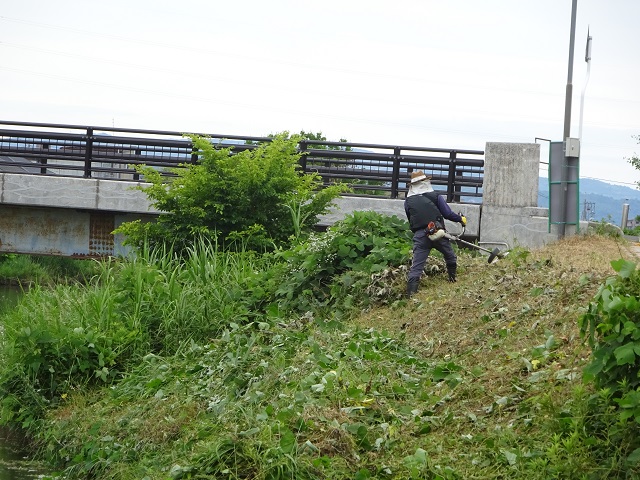 DSC09762.JPG