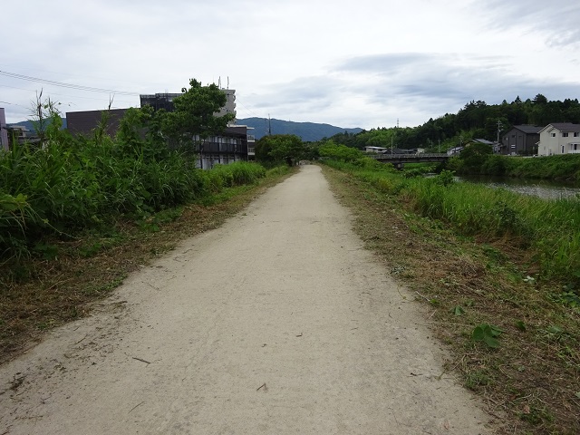DSC09768.JPG