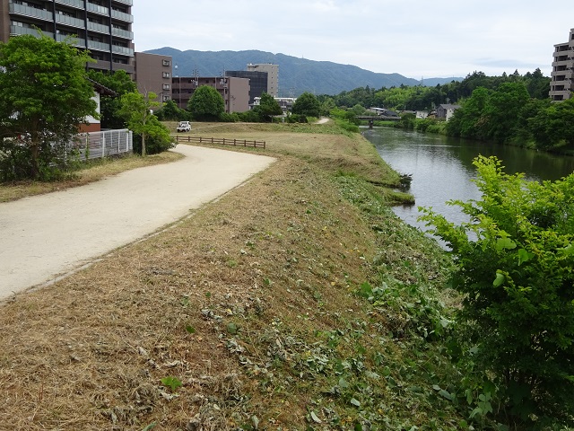 DSC09795.JPG