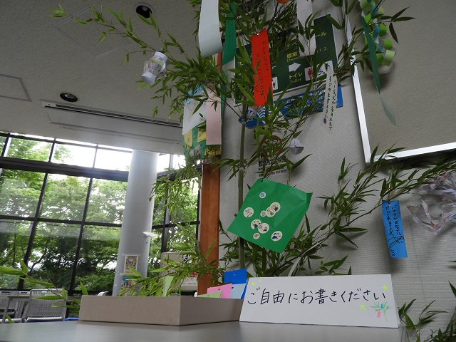DSCN5862.JPG
