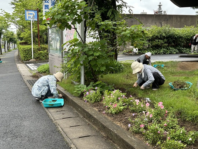 IMG_5046.jpeg