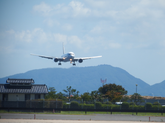 DSCF8818.JPG
