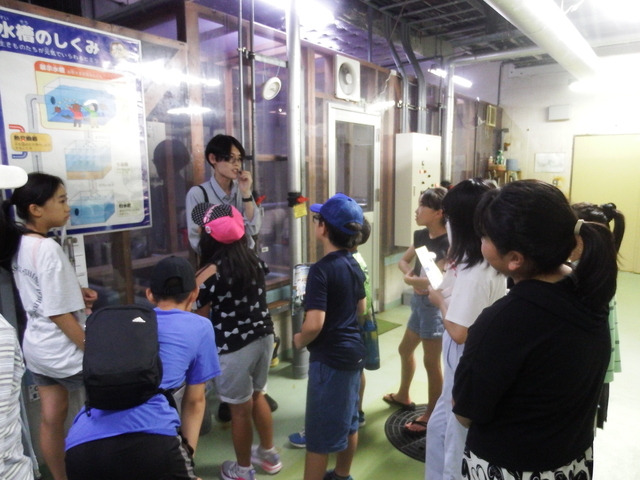 DSCF8943.JPG