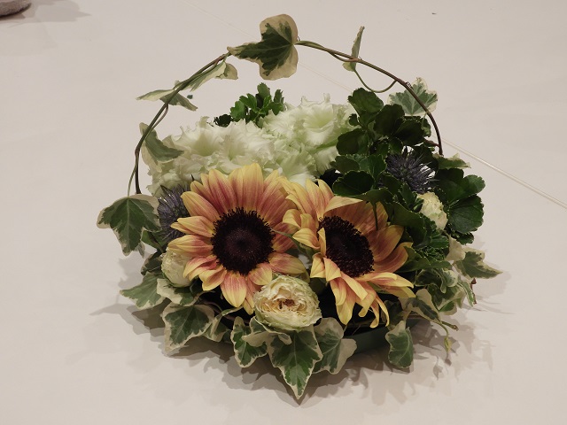 DSCN6146.JPG
