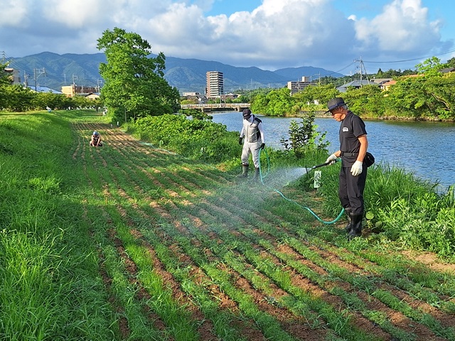 20240806_171823.jpg