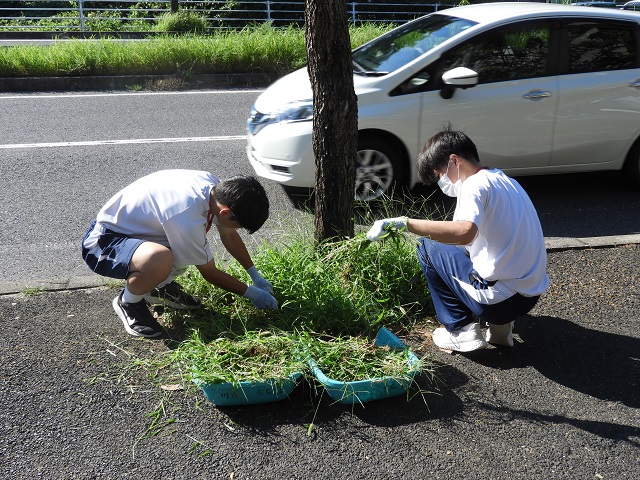 DSCN6596.JPG