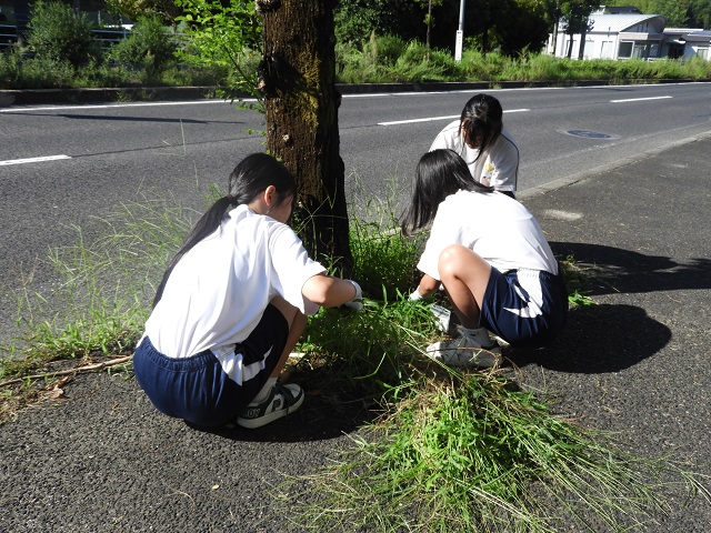 DSCN6598.JPG