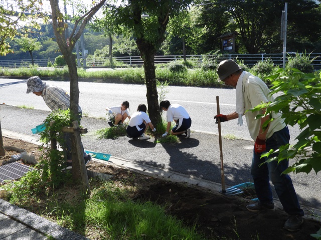 DSCN6599.JPG