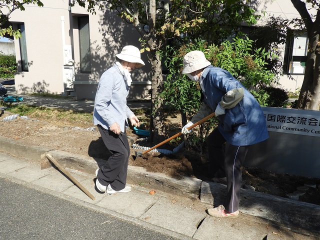 DSCN6602.JPG