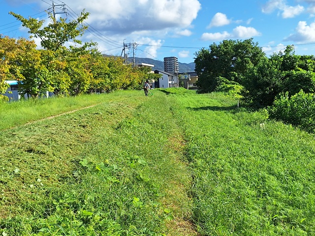 20240923_082139.jpg
