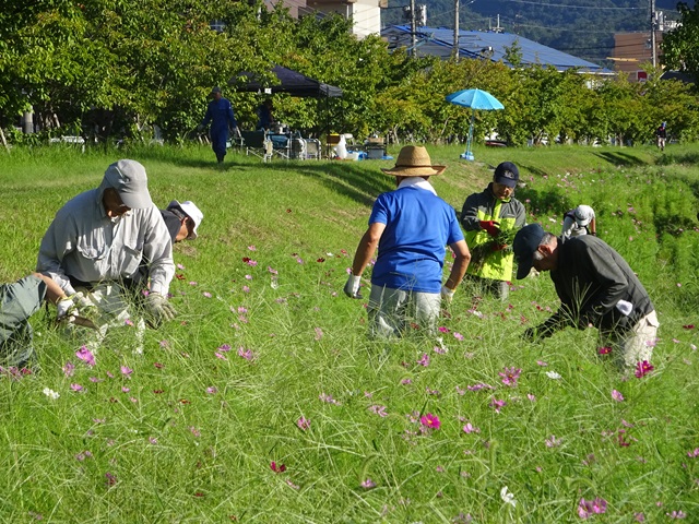 DSC00201.JPG