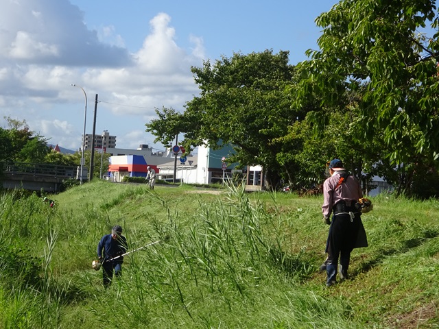 DSC00214.JPG