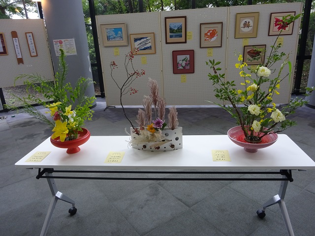 DSC00257.JPG