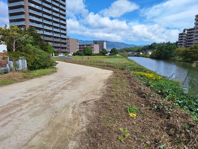 20241026_110312.jpg